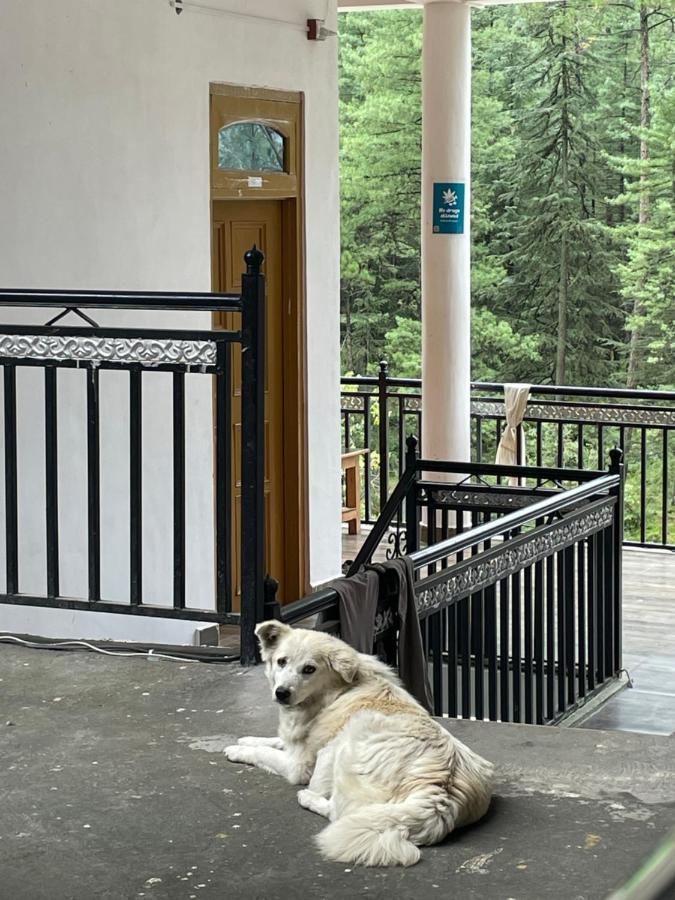 Wabi Sabi Riverside Hostel Kasol Kültér fotó